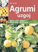 Agrumi - uzgoj : ukrasne i plodovite sorte - tehnike uzgoja u tlu
