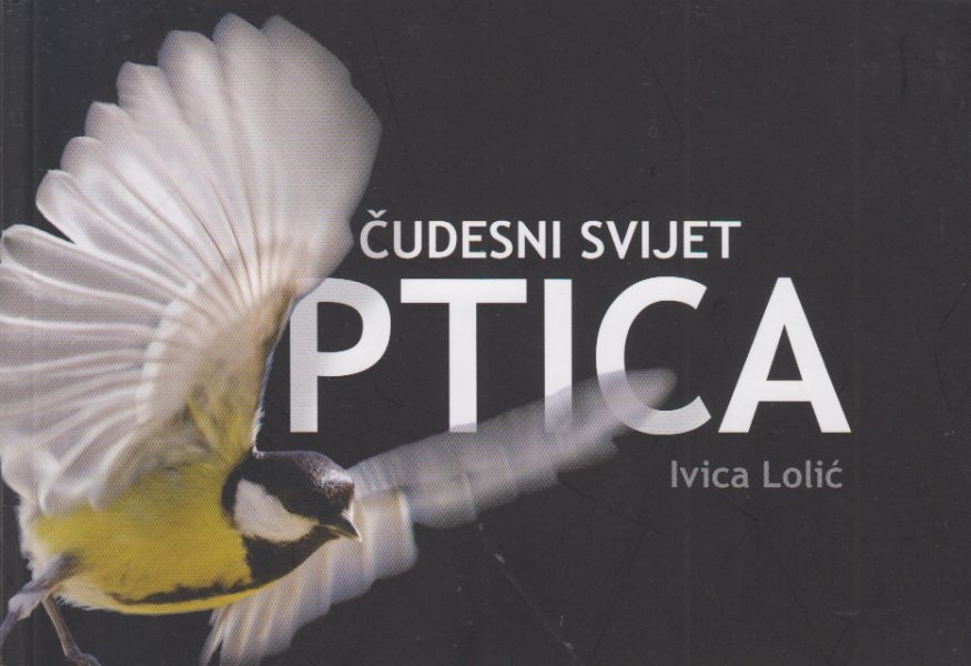 Čudesni svijet ptica
