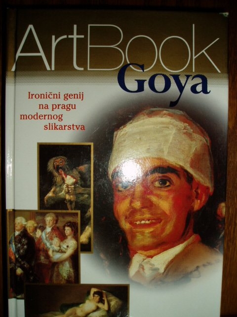 Goya : ironični genij na pragu modernog slikarstva