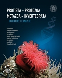 PROTISTA - PROTOZOA, METAZOA - INVERTEBRATA