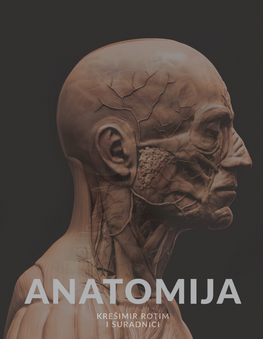 Anatomija