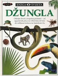 Džungla 