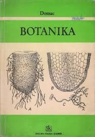 Botanika