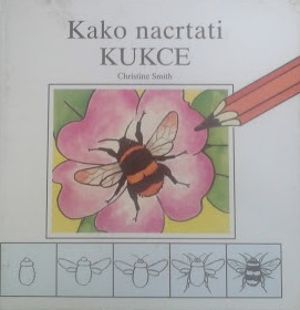 Kako nacrtati kukce