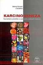 Karcinogeneza : suvremena gledišta o podrijetlu malignih tumora 