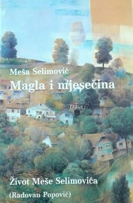 Magla i mjesečina