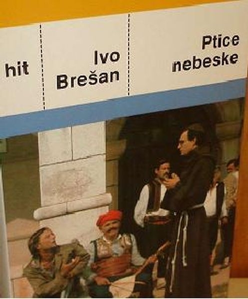 Ptice nebeske : pikarski roman