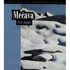 Mećava 