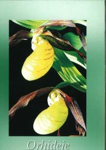 Orhideje Nacionalnog parka Plitvička jezera 