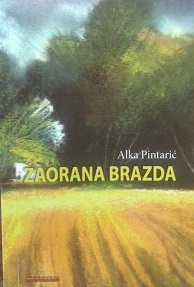 Zaorana brazda