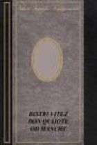 Bistri vitez Don Quijote od Manche (1.svezak)