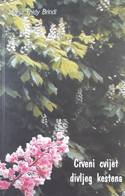 Crveni cvijet divljeg kestena 