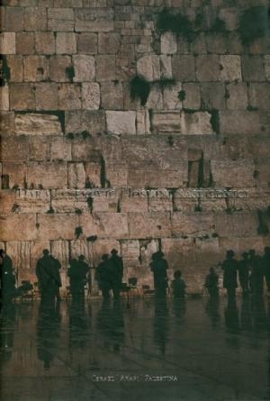 Jošuini nasljednici : Izrael, Arapi, Palestina 