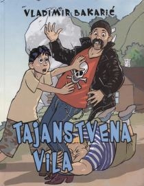 Tajanstvena vila : roman za djecu i one koji će to uvijek ostati