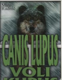 Canis lupus voli kupus
