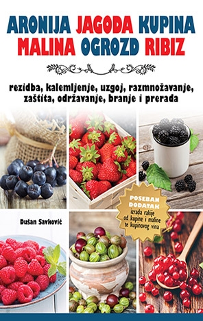 Aronija, jagoda, kupina, malina, ogrozd, ribiz