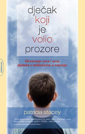 Dječak koji je volio prozore