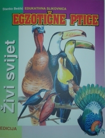 Egzotične ptice : edukativna slikovnica