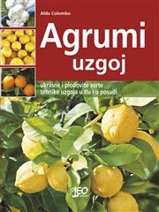 Agrumi uzgoj