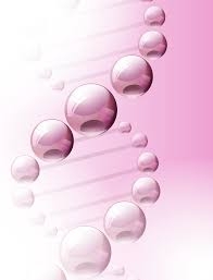 Analiza sadržaja i rezultata ispita državne mature iz fizike 