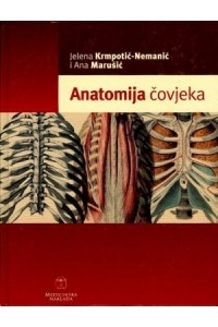 Anatomija čovjeka