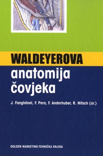 Waldeyerova anatomija čovjeka