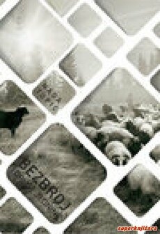 Bezbroj i druge jednine