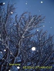 Bijeg u stvarnost : zbirka pjesama i autorskih fotografija