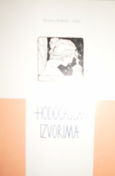 Hodočašća izvorima : studije i eseji