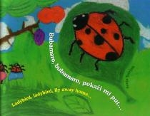 Bubamaro, bubamaro, pokaži mi put