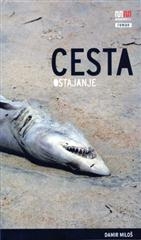 Cesta (ostajanje)