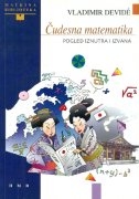 Čudesna matematika : pogled iznutra i izvana 