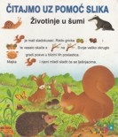 Čitajmo uz pomoć slika - Životinje u šumi