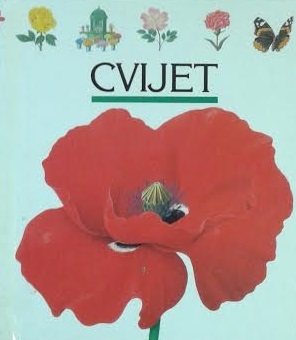Cvijet
