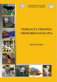 Fizikalna terapija i rehabilitacija psa 