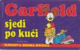 Garfield sjedi po kući