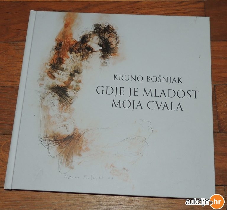 Gdje je mladost moja cvala