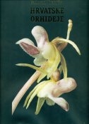 Hrvatske orhideje