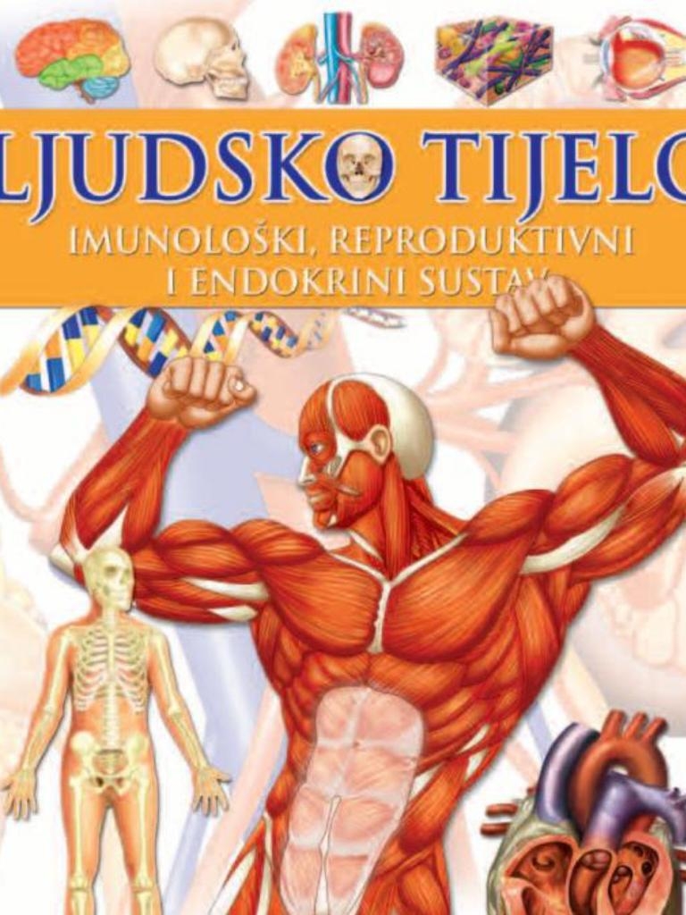 Imunološki, reproduktivni i endokrini sustav