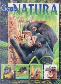 Životinje afričke prašume 