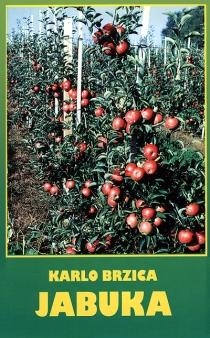 Jabuka