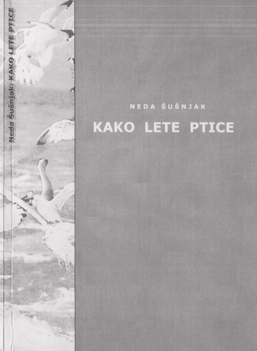 Kako lete ptice