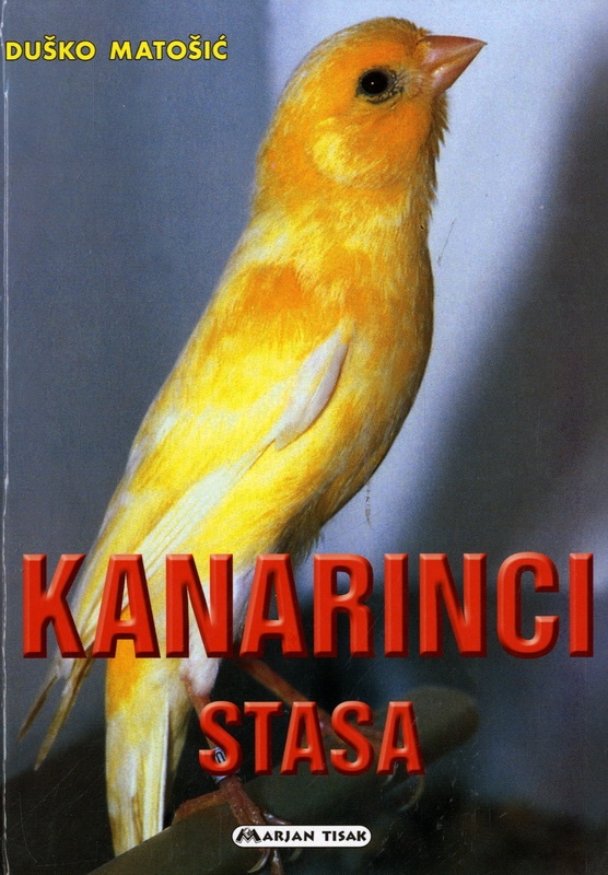 Kanarinci stasa