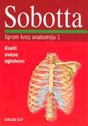 Igrom kroz anatomiju - 1. Kosti, sveze, zglobovi (143 kartice za učenje)