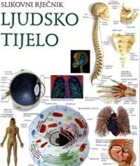 Ljudsko tijelo - slikovni rječnik