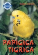 Papigica tigrica