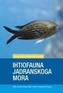 Ihtiofauna Jadranskoga mora