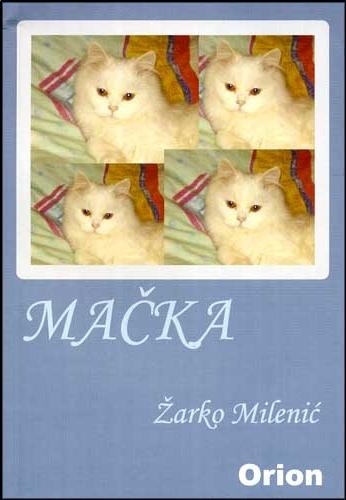 Mačka