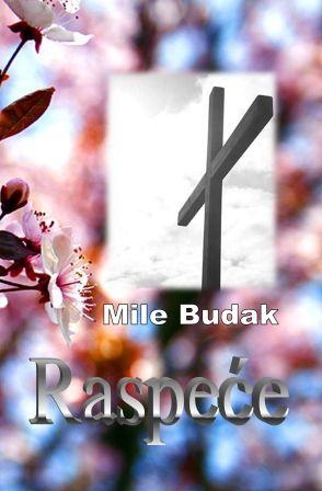 Raspeće : zapisci jednog malog intelektualca