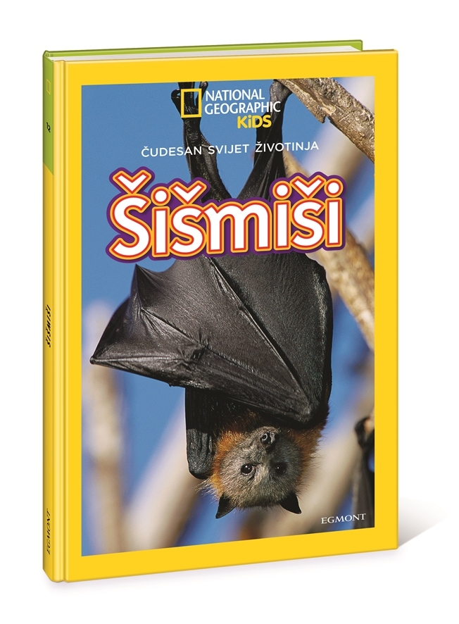 Šišmiši